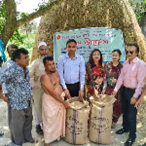 সরকার নির্ধারিত মূল্যে ধান ক্রয়