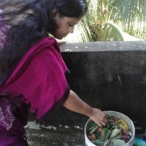 কিচেন কম্পোস্ট